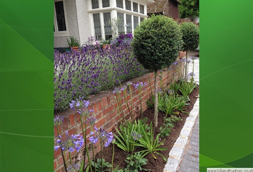 Completed garden and terrace